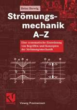 Strömungsmechanik A-Z: Eine systematische Einordnung von Begriffen und Konzepten der Strömungsmechanik