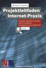 Projektleitfaden Internet-Praxis: Internet, Intranet, Extranet und E-Commerce konzipieren und realisieren