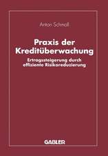 Praxis der Kreditüberwachung: Ertragssteigerung durch effiziente Risikoreduzierung