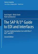 The SAP R/3® Guide to EDI and Interfaces: Cut your Implementation Cost with IDocs®, ALE® and RFC®