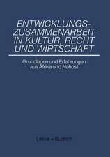 Entwicklungszusammenarbeit in Kultur, Recht und Wirtschaft