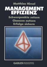 Management Effizienz: Schwerpunkte setzen Chancen nutzen Erfolge sichern