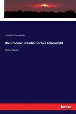 Die Colonie: Brasilianisches Lebensbild