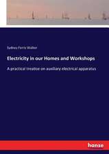 Electricity in our Homes and Workshops