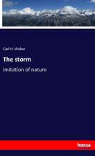 The storm