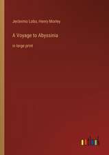 A Voyage to Abyssinia