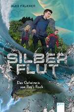 Silberflut (1). Das Geheimnis von Ray's Rock