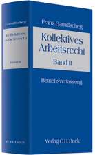 Kollektives Arbeitsrecht 2. Ein Lehrbuch