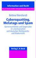 Cybersquatting, Metatags und Spam