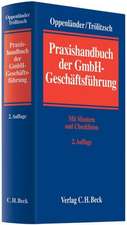 Praxishandbuch der GmbH-Geschäftsführung