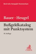 Bußgeldkatalog mit Punktesystem