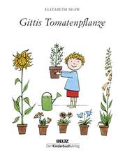 Gittis Tomatenpflanze