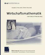 Wirtschaftsmathematik: Intensivtraining