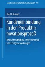 Kundeneinbindung in den Produktinnovationsprozeß: Bestandsaufnahme, Determinanten und Erfolgsauswirkungen