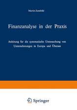 Finanzanalyse in der Praxis: Anleitung für die systematische Untersuchung von Unternehmungen in Europa und Übersee