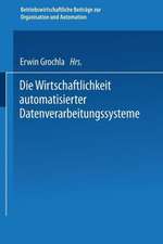 Die Wirtschaftlichkeit automatisierter Datenverarbeitungssysteme