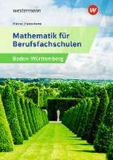 Mathematik für Berufsfachschulen. Schulbuch. Algebra und Geometrie