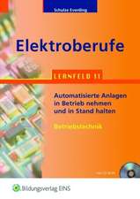 Elektroberufe. Lernfeld 11