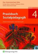 Praxisbuch Sozialpädagogik 4