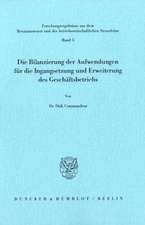 Die Bilanzierung der Aufwendungen für die Ingangsetzung und Erweiterung des Geschäftsbetriebs