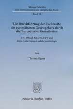 Die Durchführung der Rechtsakte des europäischen Gesetzgebers durch die Europäische Kommission