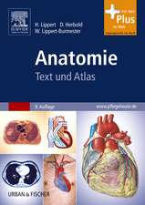 Anatomie