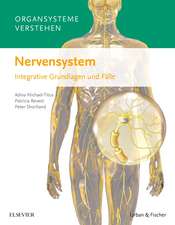 Organsysteme verstehen - Nervensystem