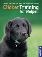 ClickerTraining für Welpen