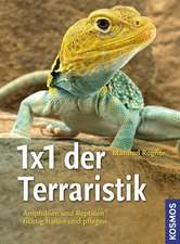 1 x 1 der Terraristik