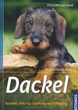 Dackel