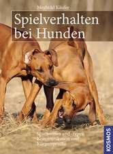 Spielverhalten bei Hunden