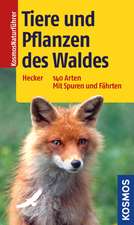 Tiere und Pflanzen des Waldes