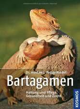 Bartagamen