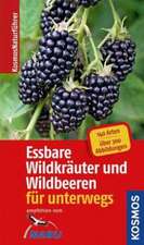 Essbare Wildkräuter und Wildbeeren für unterwegs