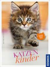 Katzenkinder