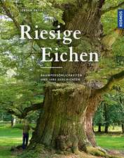 Riesige Eichen