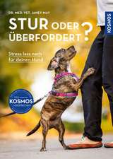 Stur oder überfordert?