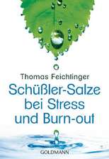 Schüßler-Salze bei Stress und Burn-out