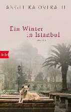 Ein Winter in Istanbul