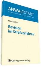 Revision im Strafverfahren