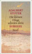 Die kleinen Dinge schreien drein. 59 Briefe