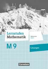 Lernstufen Mathematik 9. Jahrgangsstufe - Mittelschule Bayern - Lösungen zum Schülerbuch