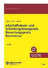 Erbschaftsteuer- und Schenkungsteuergesetz, Bewertungsgesetz Kommentar