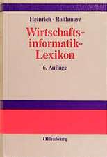 Wirtschaftsinformatik-Lexikon