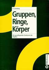 Gruppen, Ringe, Körper: Die grundlegenden Strukturen der Algebra