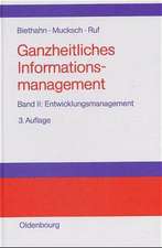 Ganzheitliches Informationsmanagement: Band II: Entwicklungsmanagement