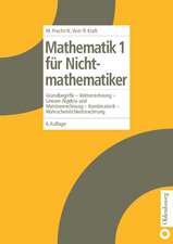 Mathematik 1 für Nichtmathematiker: Grundbegriffe - Vektorrechnung - Lineare Algebra und Matrizenrechnung - Kombinatorik - Wahrscheinlichkeitsrechnung