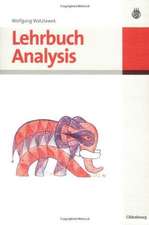 Lehrbuch Analysis