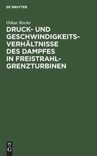 Druck- und Geschwindigkeits-Verhältnisse des Dampfes in Freistrahl-Grenzturbinen