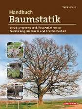 Handbuch Baumstatik